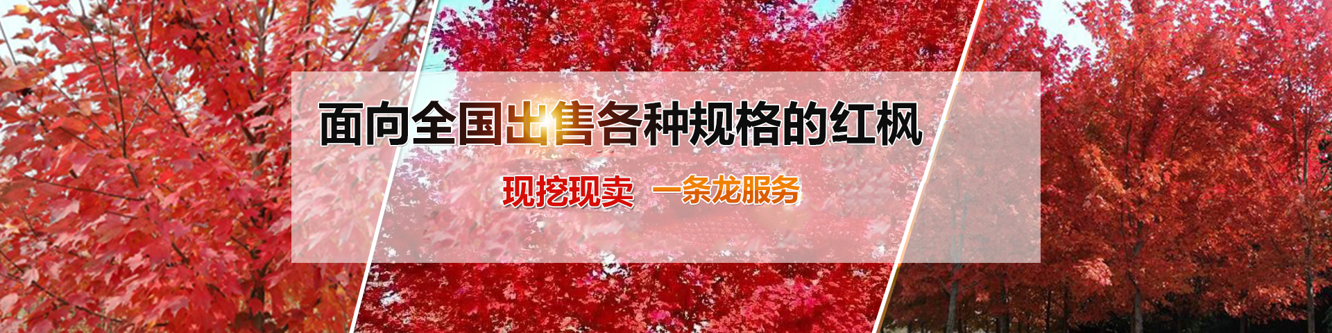 濟寧富康液壓機械有限公司