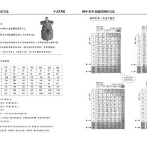BMH系列擺線(xiàn)液壓馬達(dá)